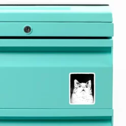 Surprise Cat Custom Shape Magnet CARTIO1098