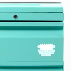 Science Ruins Everything Custom Shape Magnet CARTIO1159