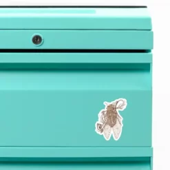 Custom Shape Magnets